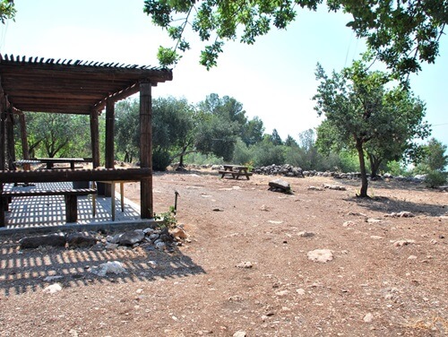 ורד הגליל- חוות סוסים